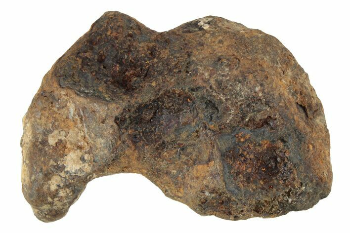 Agoudal Iron Meteorite ( g) - Morocco #245616
